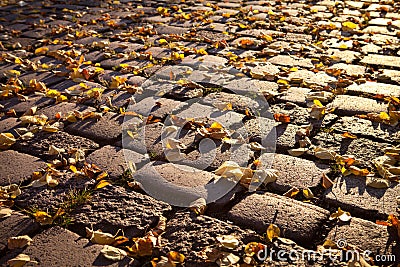 Cobblestone pavers in autumn,leafes,colourful Stock Photo