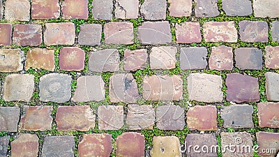 Cobblestone street with grass between the stones, texture or background Stock Photo