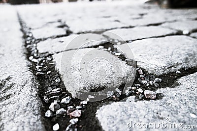 Cobblestone walk path black color Stock Photo