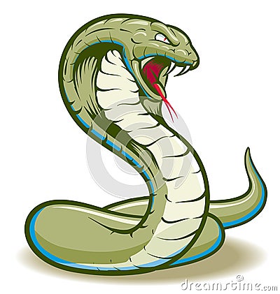 Cobra Vector Illustration