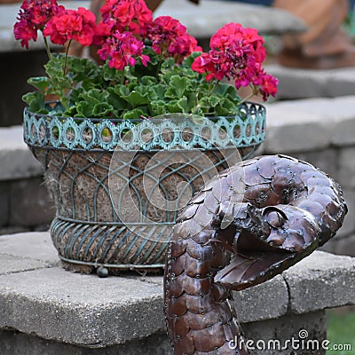 Cobra Snake Garden Statue with Red Begonias Stock Photo