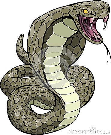 Cobra snake about to strike Vector Illustration