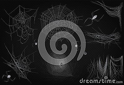 Cobweb set isolated on black transparent alpha background. Spiderweb for Halloween design. High quality spider web Vector Illustration