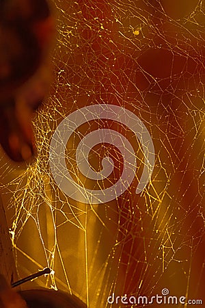 Cobweb Spiderweb in a corner of room in golden creative lights, indoor cleaning Stock Photo