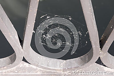 Cobweb with vague abstract texture is located on a fence Stock Photo