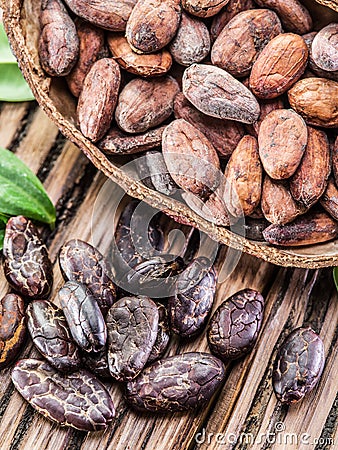 Cocao pod and cocao beans. Stock Photo