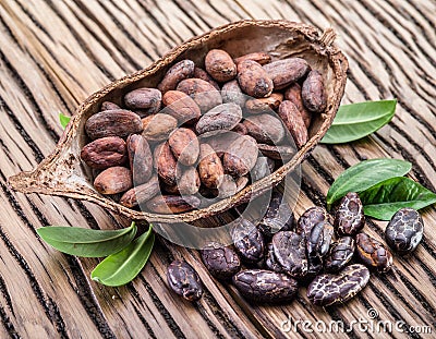 Cocao pod and cocao beans. Stock Photo