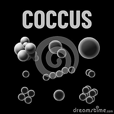 Coccus bacteria types monochrome vector illustration on black background. Virus concept Vector Illustration