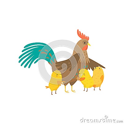 Cock with three small yellow chicken isolated on white background Vector Illustration