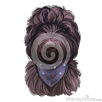 Cockapoo Black dog digital art illustration of cute canine animal. Mixed-breed dog cross between American Cocker or English Cocker Cartoon Illustration