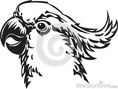 Cockatoo Vector Illustration