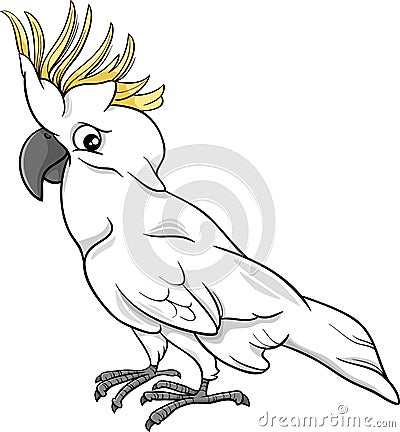 Cockatoo parrot cartoon illustration Vector Illustration