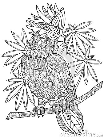 Cockatoo parrot coloring book for adults vector Vector Illustration