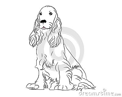 Cocker spaniel cute dog coloring page Vector Illustration