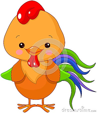 Cockerel Vector Illustration