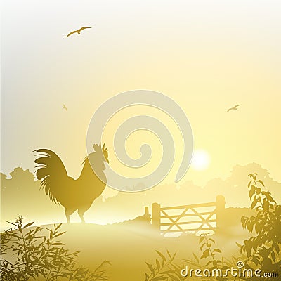 Cockerel, Rooster Vector Illustration