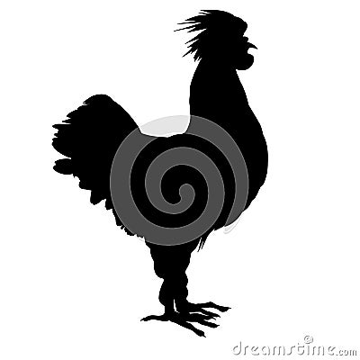 Cockerel silhouette Vector Illustration