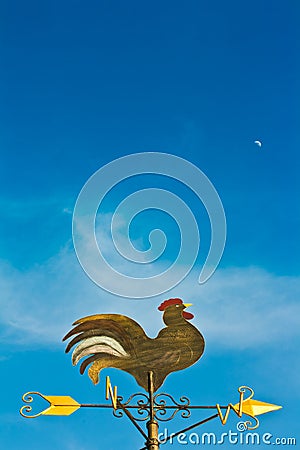 A cockerel wind vane Stock Photo