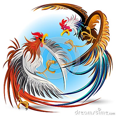 Cockfight Fighting Vector Illustration