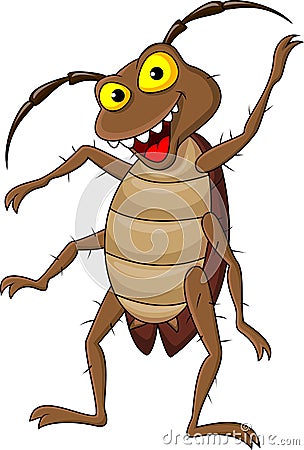 Cockroach cartoon Vector Illustration