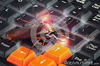 Cockroach climbing on keyboard to present about computer attacked from virus Stock Photo