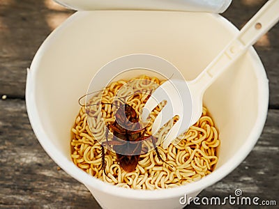 Cockroach dead in noodle Stock Photo