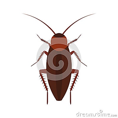 Cockroach insect vector icon above pest. Brown animal top view cartoon bug. Flat body parasite pollution Vector Illustration