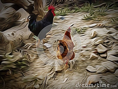 Cocks in a village in India. Stock Photo