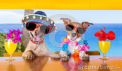 Cocktail dogs Stock Photo