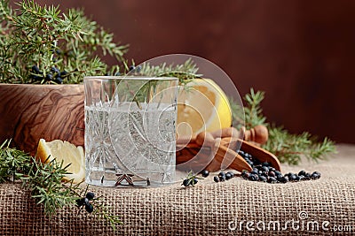 Cocktail gin, tonic with lemon and a branch of juniper with berries. Stock Photo