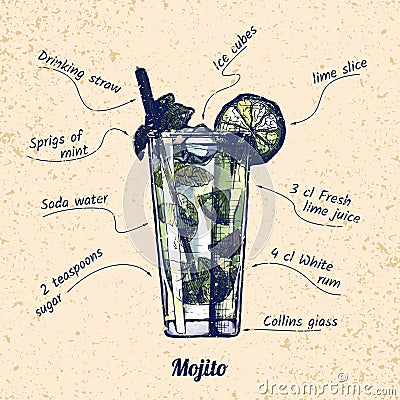 Cocktail mojito and its ingredients Vector Illustration