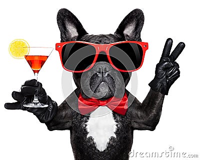 Cocktail party dog