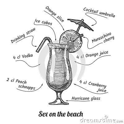 Cocktail Sex on the Beach Vector Illustration