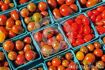 Cocktail tomatoes Stock Photo