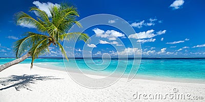 Coco palm on tropical paradise panorama beach Stock Photo