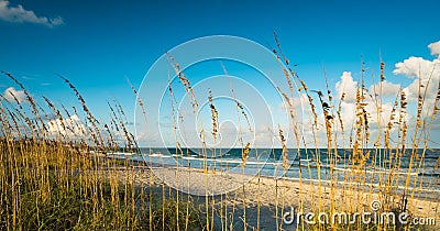 Cocoa Beach Stock Photo