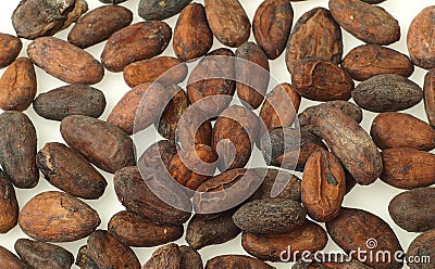 Cocoa beans Stock Photo