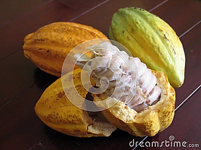 Cocoa beans Stock Photo