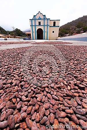 Cocoa beans, Chuao Church, Aragua, Veneuela Stock Photo