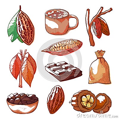 Cocoa beans hand drawn isolated vector set Vector Illustration