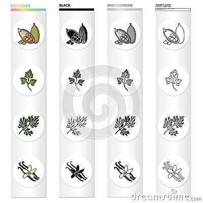 Cocoa beans, a leaf of a herb of a dill, a parsley, spice vanilla. Herbs and spices set collection icons in cartoon Vector Illustration