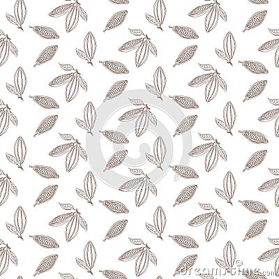 Cocoa beans outline seamless pattern. Chocolate white background. Vector Illustration