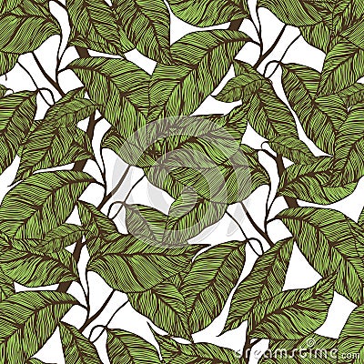 Cocoa beans seamless pattern. Vector Illustration