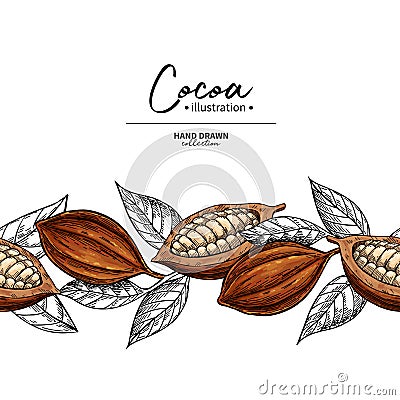 Cocoa border. Vector superfood drawing template. Fruit, leaf and bean seamless pattern. Vector Illustration