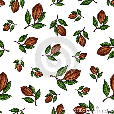 Cocoa branch vector seamless pattern. Superfood drawing. Organic Vector Illustration