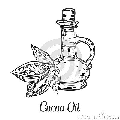 Cocoa cacao oil bottle seed vector. Isolated on white background. Cocoa food ingredient. Vector Illustration