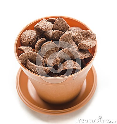 Cocoa cereal Stock Photo