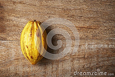 Cocoa fruit Stock Photo