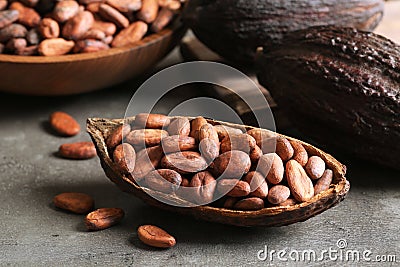 Cocoa pod of beans on grey Stock Photo