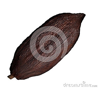 Cocoa pod Stock Photo